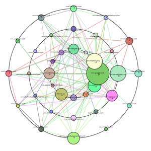 Best search engine optimization