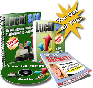 Search engine optimization techniques